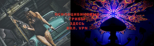 мескалин Арсеньев