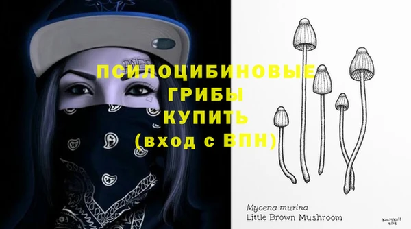а пвп мука Аркадак