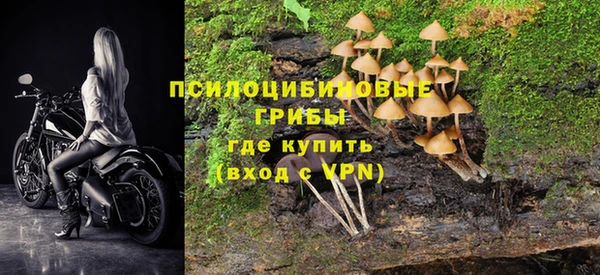 мескалин Арсеньев